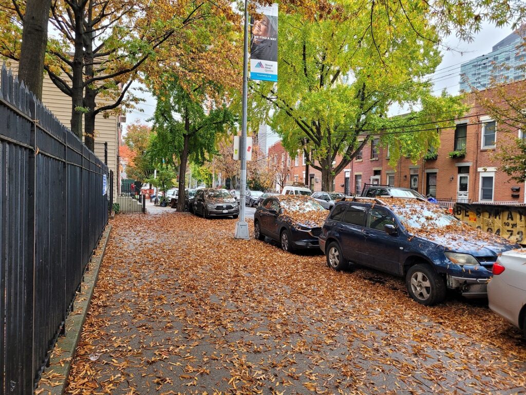Fallen leaves Long Island City